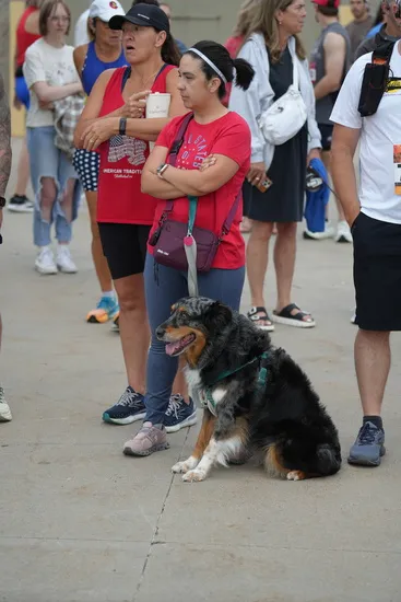A group of people and a dog waiting, possibly at the start of a race.