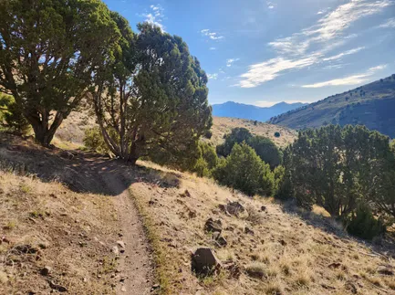 A scenic view of a dirt trail winding through dry grass and juniper trees, with rolling hills and mountains in the distance under a partly cloudy sky.