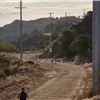 LA Turkey Trail photo 4