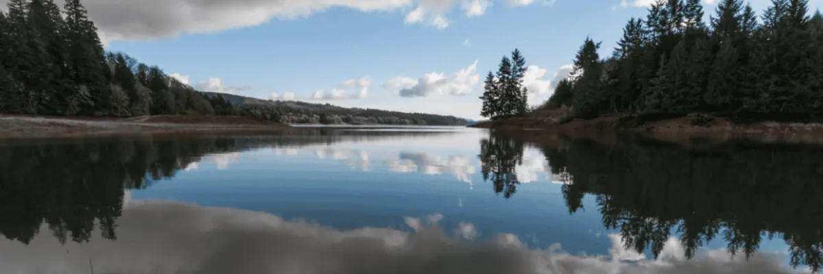 Panoramic view of a calm lake with reflections of trees and clouds under a blue sky.