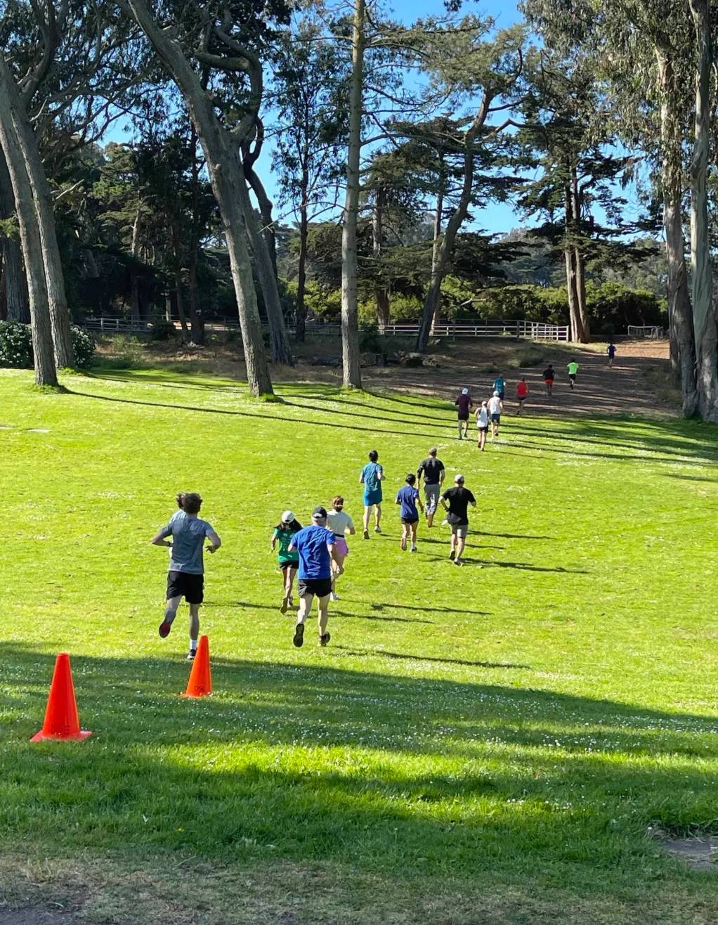 A group of runners running up a grassy hill on a sunny day, with trees in the background and orange cones on the grass.