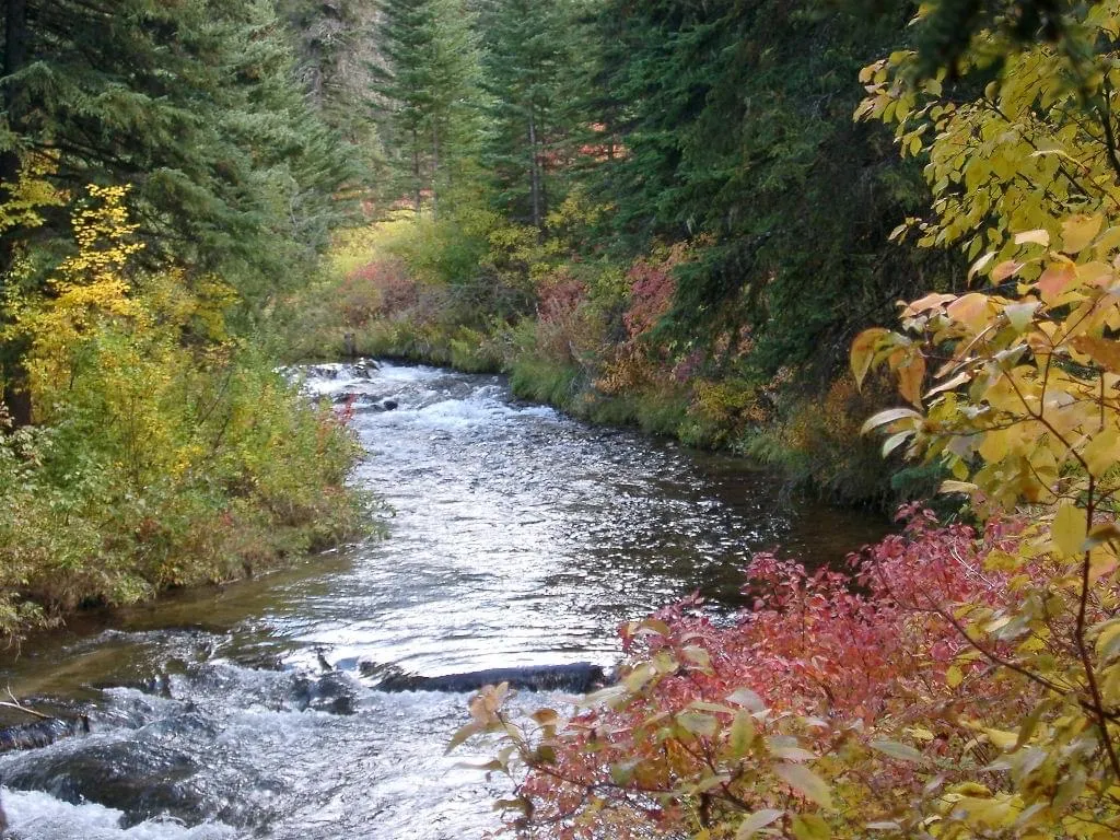 A scenic view of a river flowing through a forest with colorful autumn foliage.