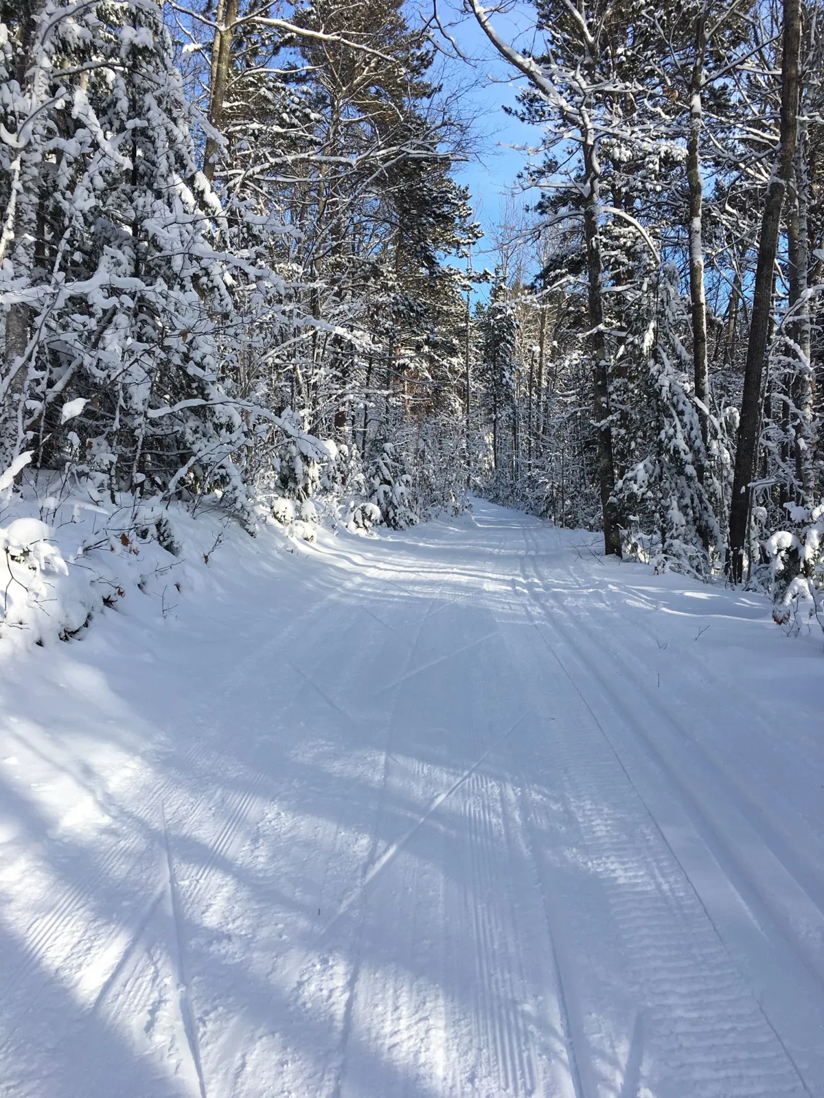 Marquette Trails Festival photo 4