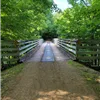Mindy Creek Trail Races photo 7
