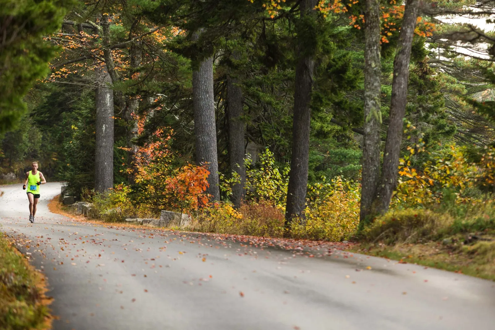 A lone runner in a neon yellow tank top and black shorts runs on a paved road lined with trees displaying autumn foliage.