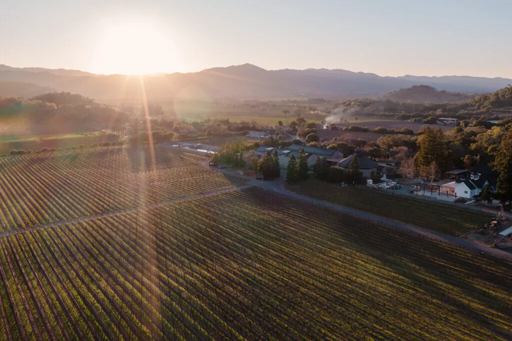 Aerial view of vineyards in Napa Valley at sunset, with rolling hills in the background.