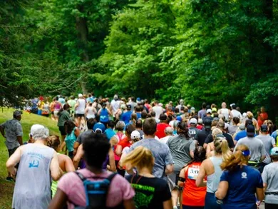 A large group of runners are running on a road surrounded by trees.