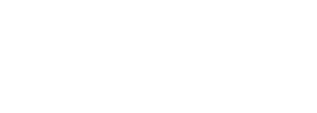 2027 Newport Rhode Race logo