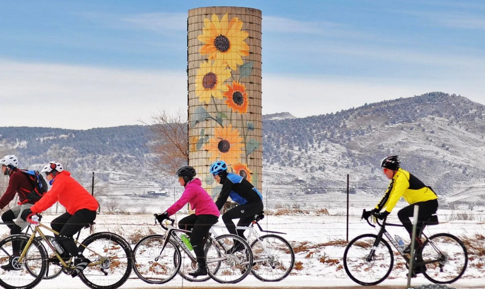 Cyclists riding on a snowy road with a silo painted with sunflowers in the background.
