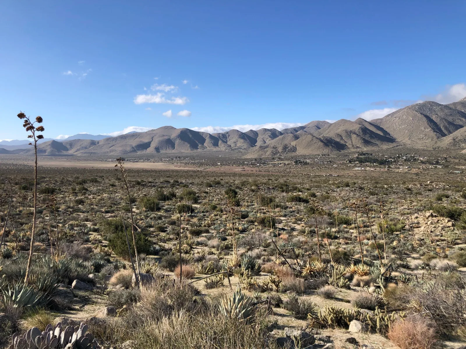 Old West Trail Runs photo 8