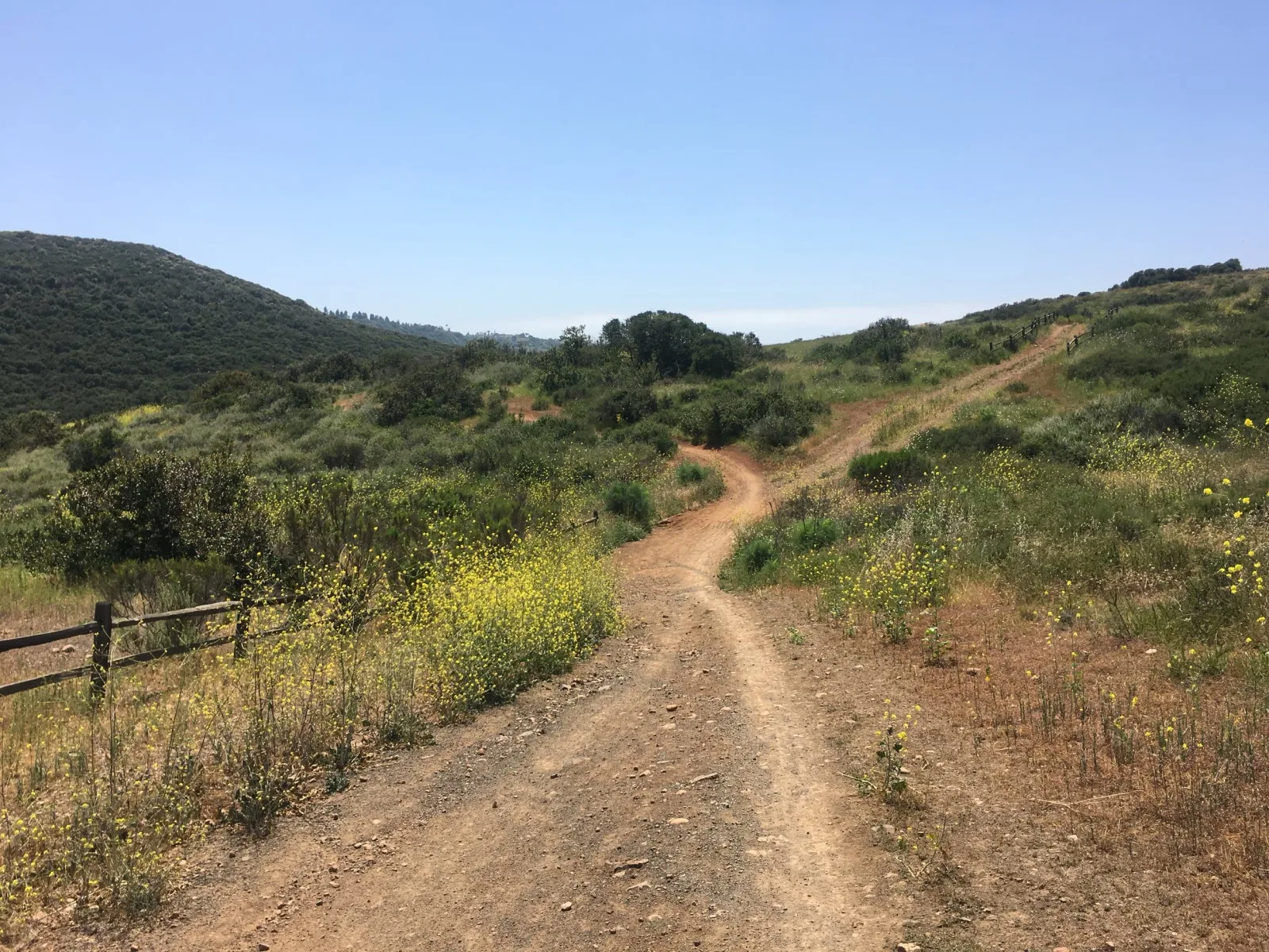 Old West Trail Runs photo 9