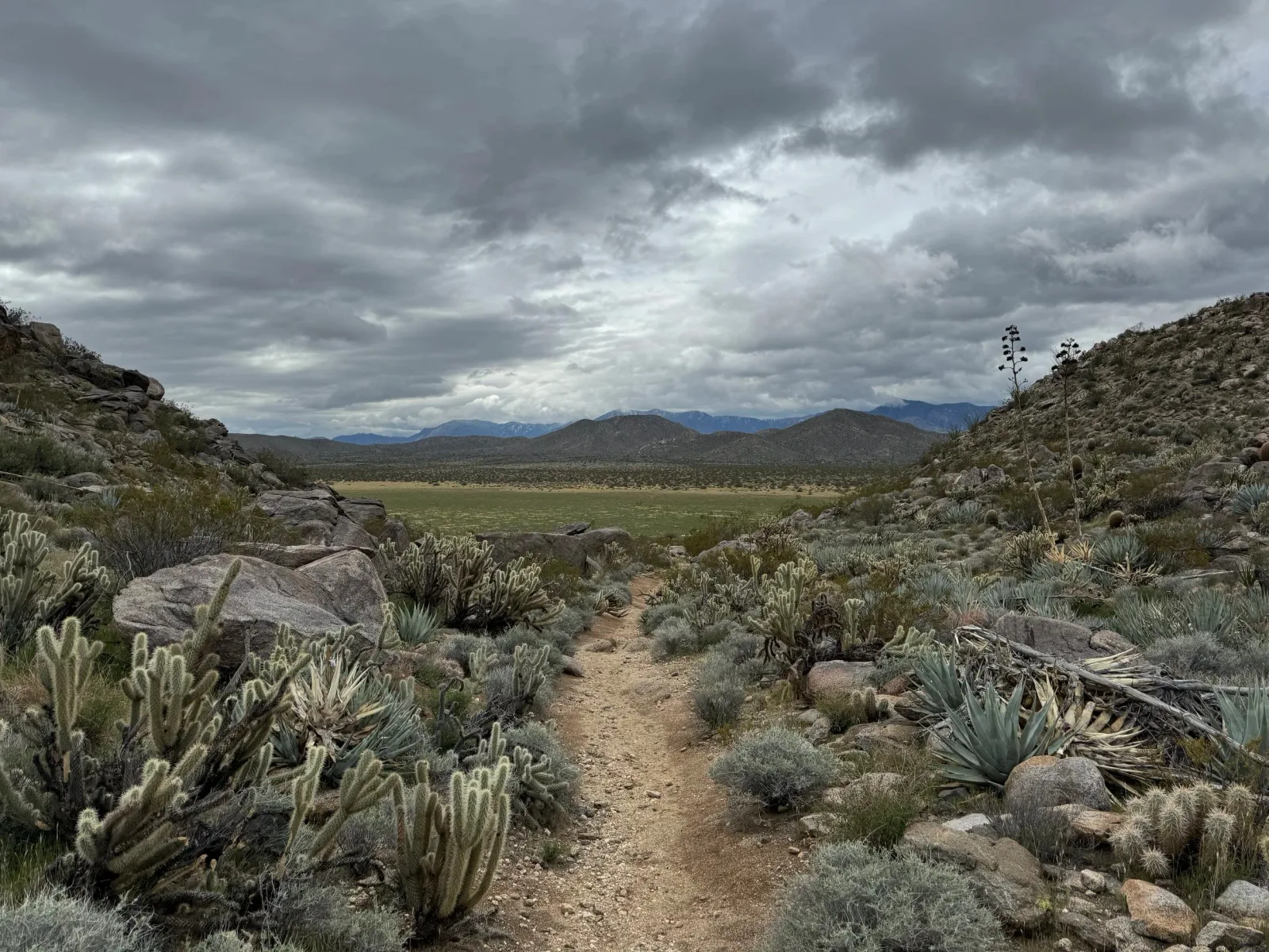 Old West Trail Runs photo 7