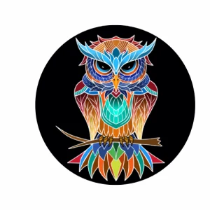Owls Roost Rumble