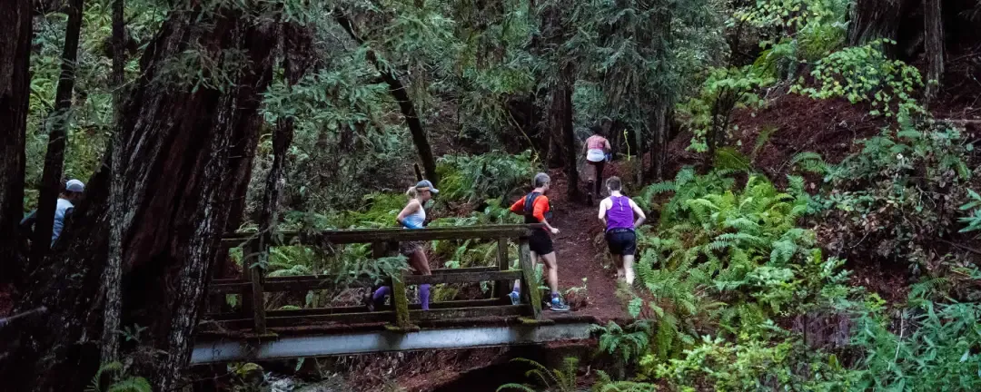 Runners crossing a wooden bridge on a wooded trail.