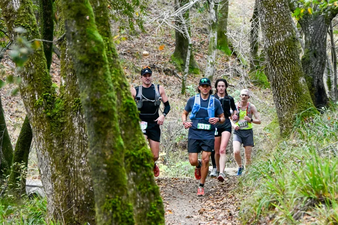 Runners on a wooded trail during a race.