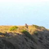 Point Mugu Trail Run photo 6