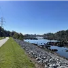 River City Half Marathon photo 8