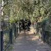 River City Half Marathon photo 5