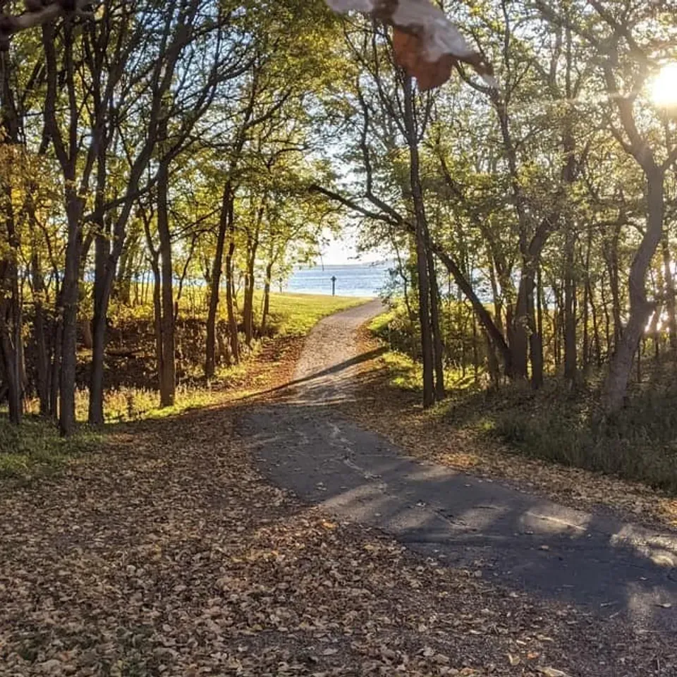 A paved path winds through trees with fallen autumn leaves, leading towards a body of water under a sunny sky.