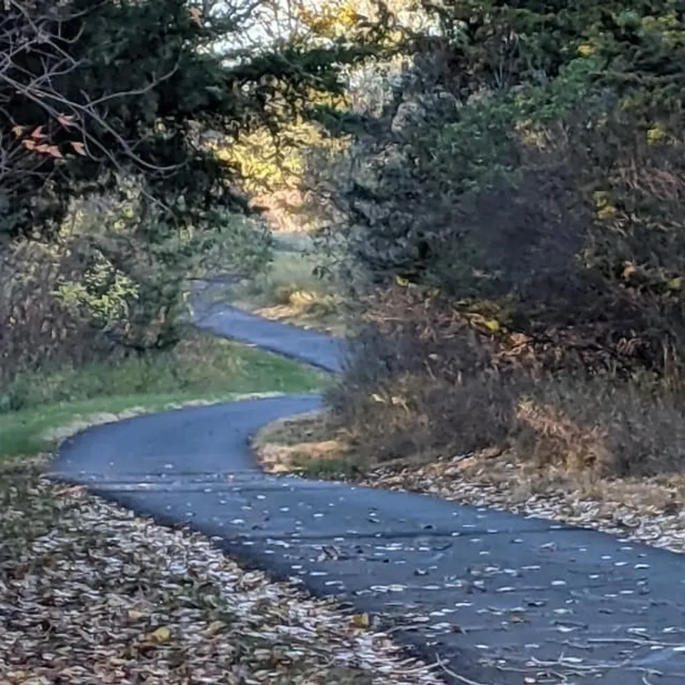 A winding paved trail through a forest with fallen leaves on the ground.