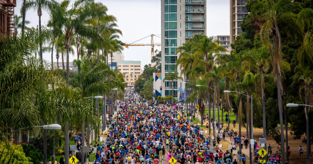 A large group of runners fill a wide city street lined with palm trees, with tall buildings in the background.
