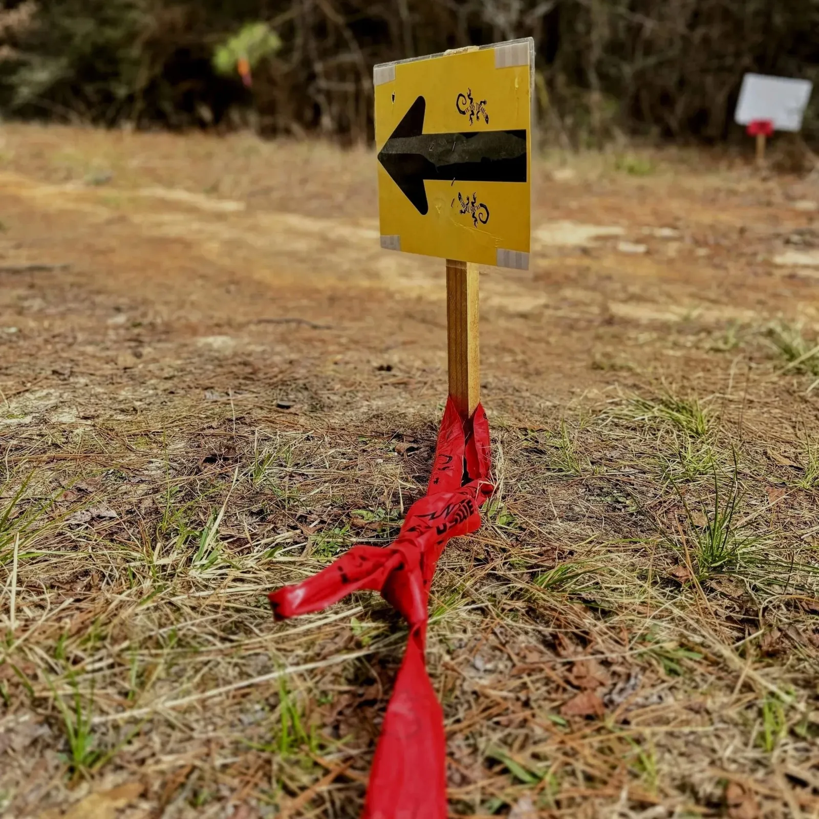 A yellow trail marker with a black arrow pointing left, tied to a wooden post with red flagging tape on a forest trail.
