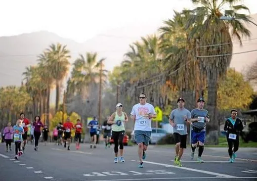 Runners participating in a race on a road lined with palm trees.