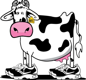 Running with the Cows