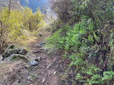 Saddleback Marathon photo 5
