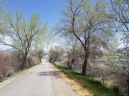 A paved path winds through trees next to a body of water under a clear blue sky.