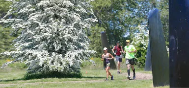 Three runners on a path next to a flowering tree and abstract sculptures.
