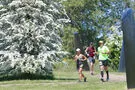 Runners on a path with trees and grass.