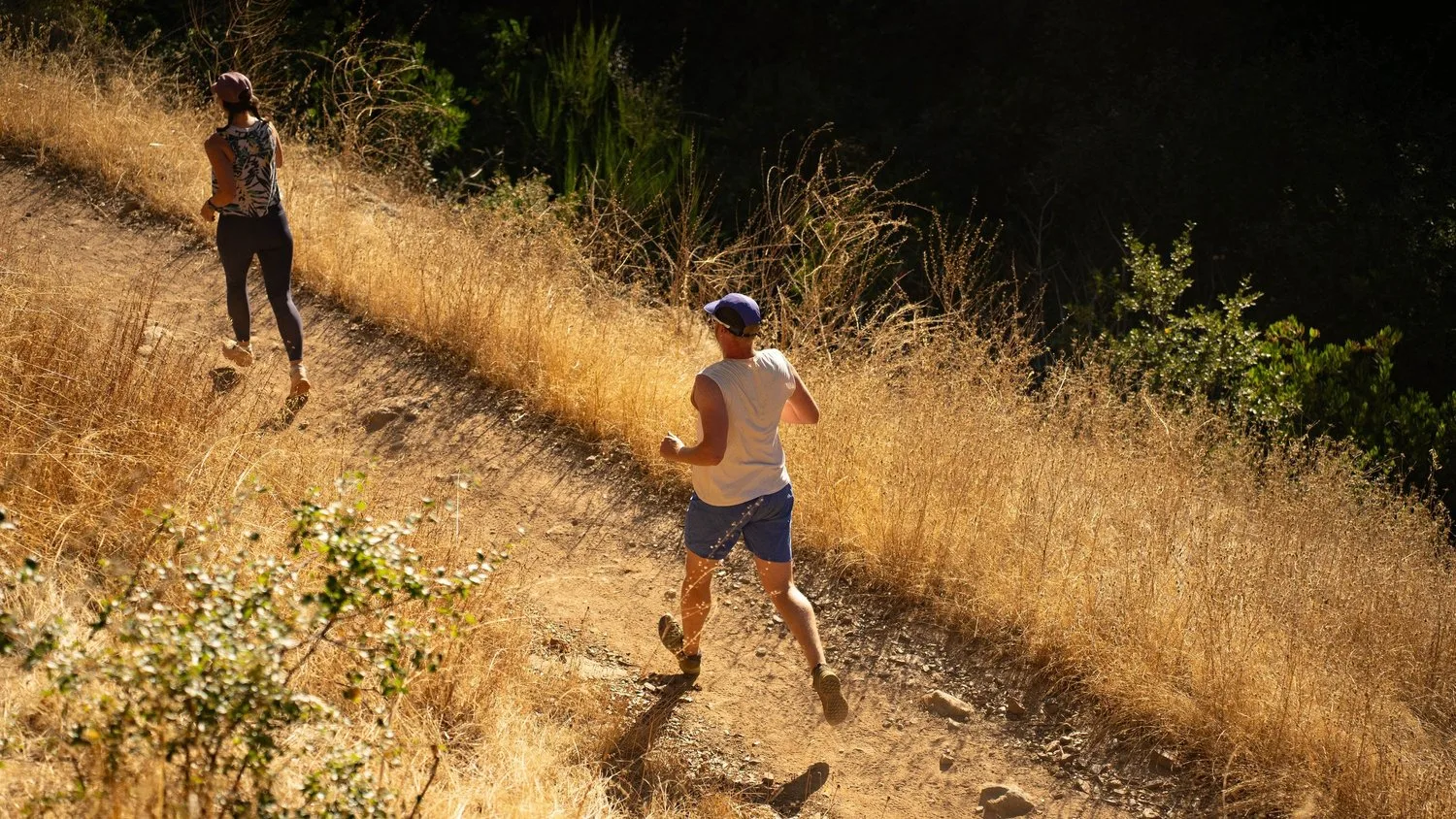 Sunset & Cider Trail Races photo 5
