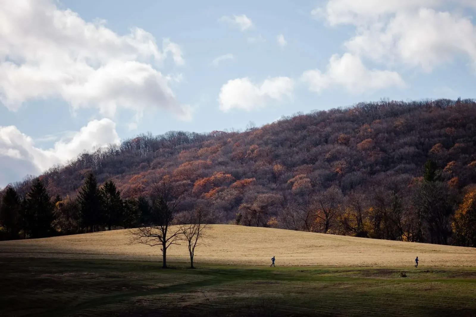 Two runners on a grassy hill with a wooded slope in the background.