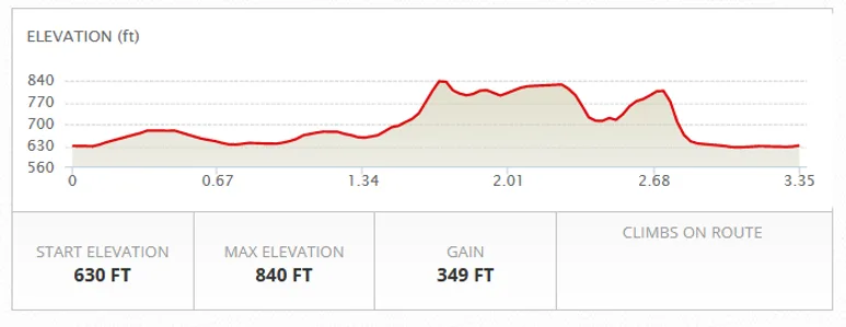 The Driftless Half Marathon photo 4