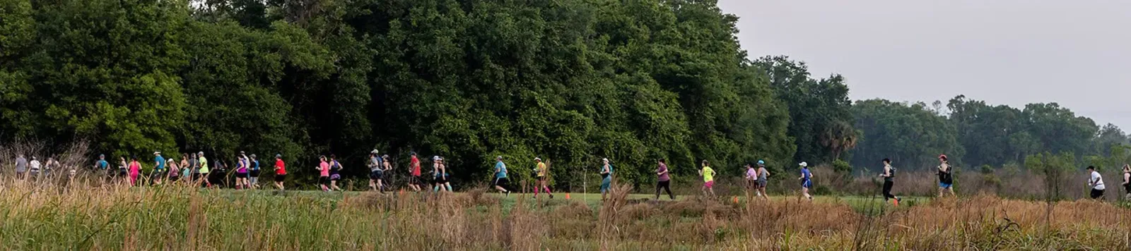 Runners on a path with trees and tall grass in the background.
