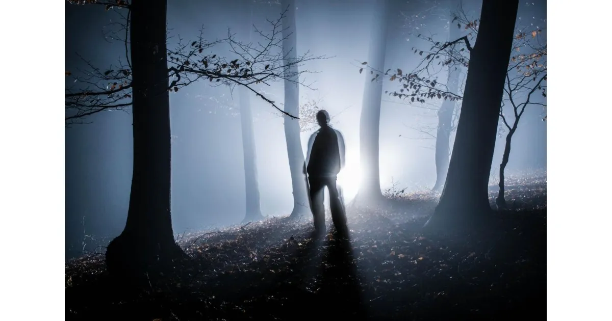 A silhouetted figure stands in a foggy forest with light shining from behind them.