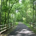 A paved trail winds through a lush green forest, bordered by a wooden fence.