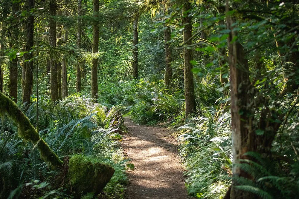Tiger Peak Challenge photo 2