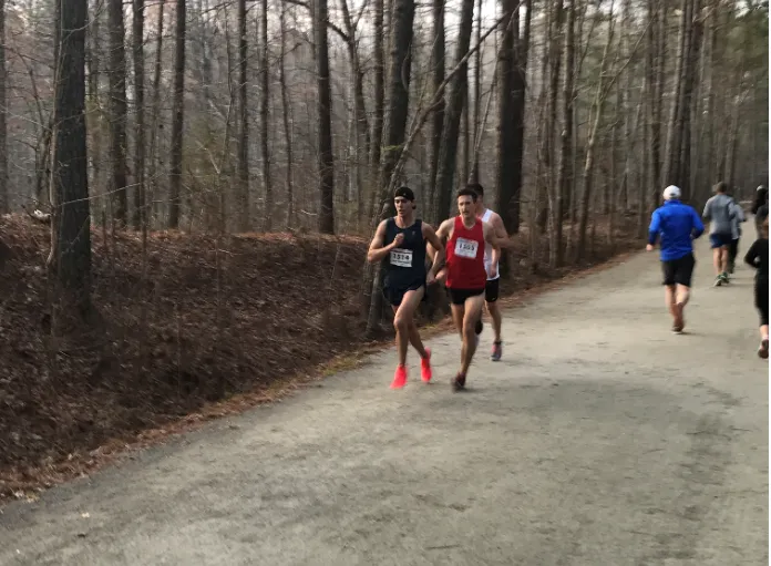 Runners on a gravel path through a forest.