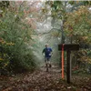 A runner on a misty forest trail.
