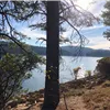 Scenic view of a lake with trees and hills in the background, suggesting a trail running course.