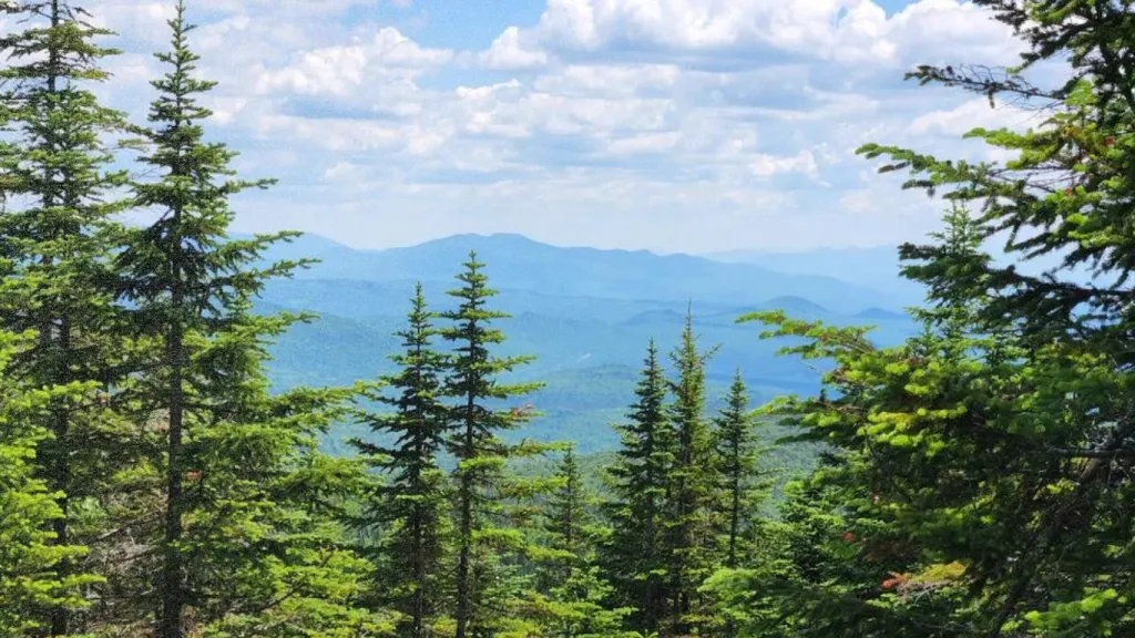 View of layered blue mountains through evergreen trees under a cloudy sky.
