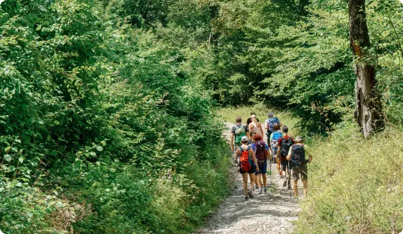 A group of hikers walking on a dirt trail through a lush green forest.