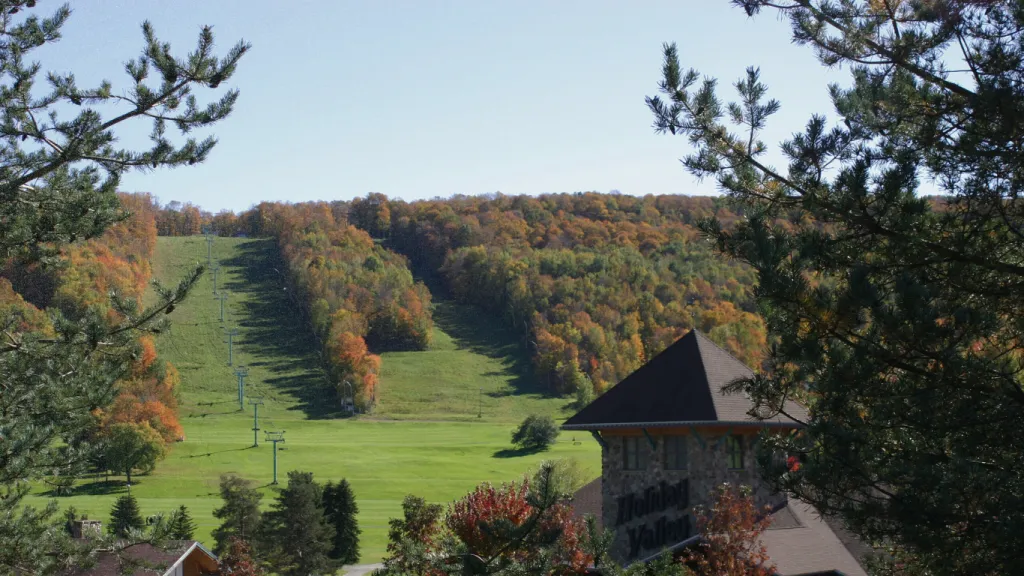 Scenic view of a grassy slope with ski lifts, surrounded by trees in autumn colors, under a clear blue sky.