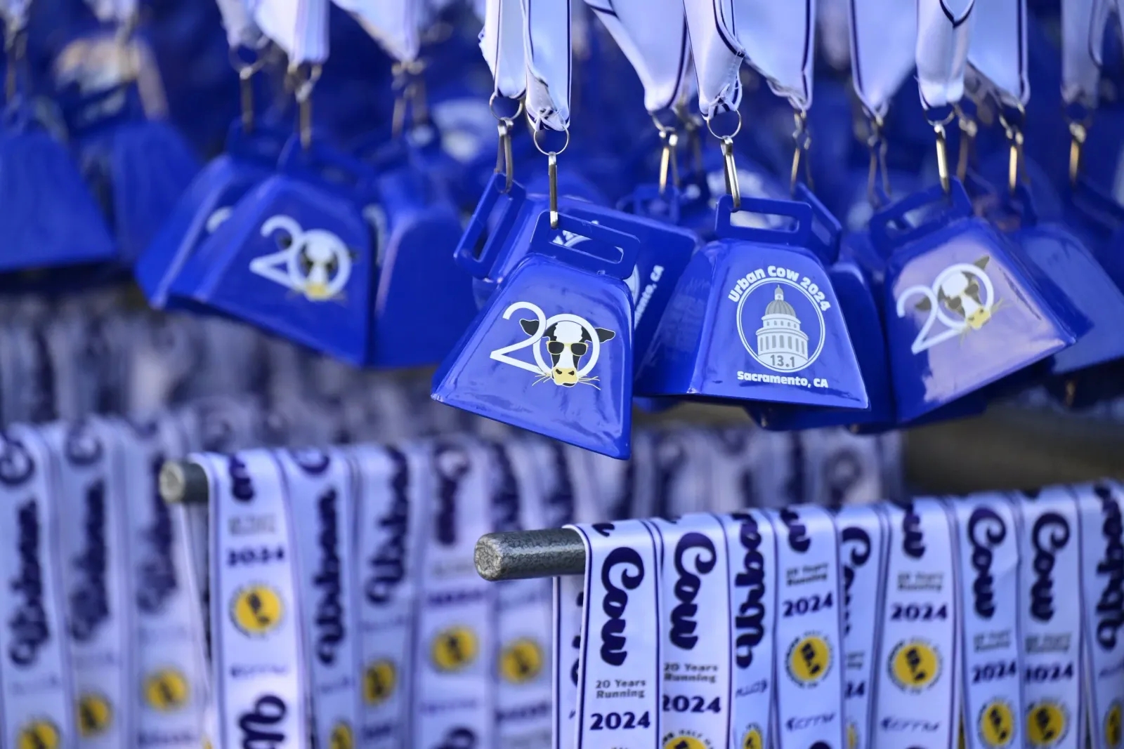 Blue cow-shaped medals and white ribbons with 'Urban Cow 2024' text hanging in rows.