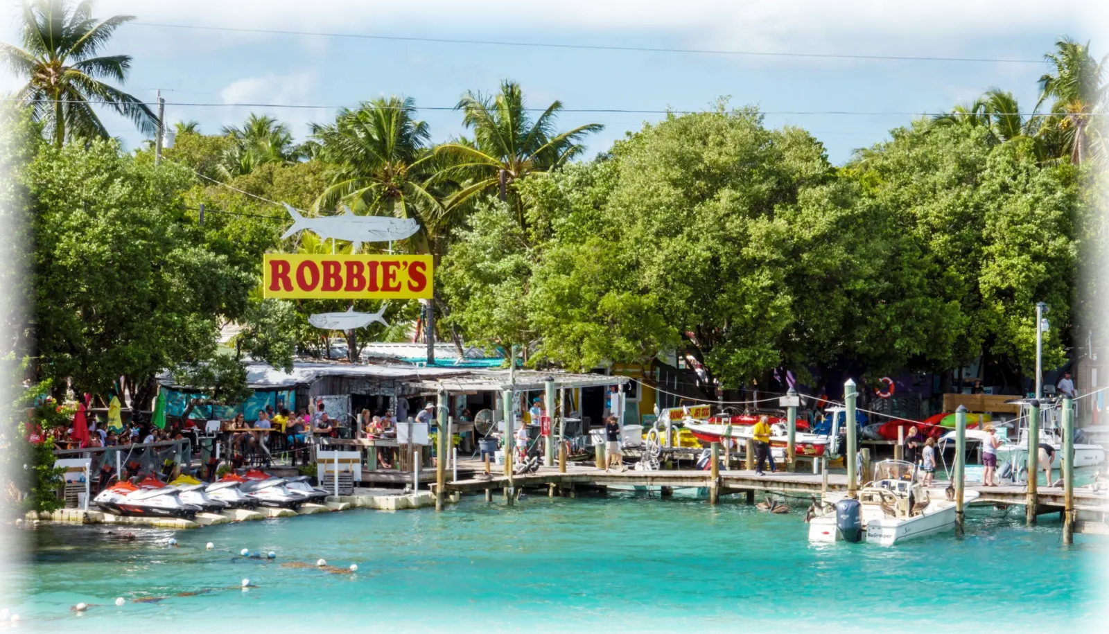 A scenic view of Robbie's, a waterfront establishment with a pier, boats, jet skis, and people enjoying the area, set against lush green trees and a bright blue sky.