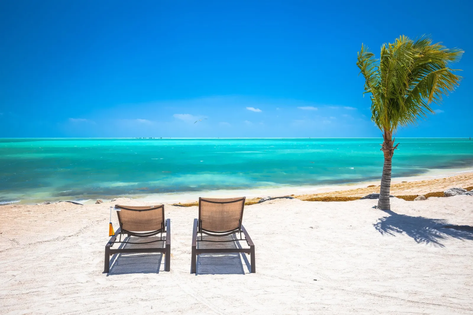 Two empty lounge chairs on a white sand beach with turquoise water and a palm tree under a clear blue sky.