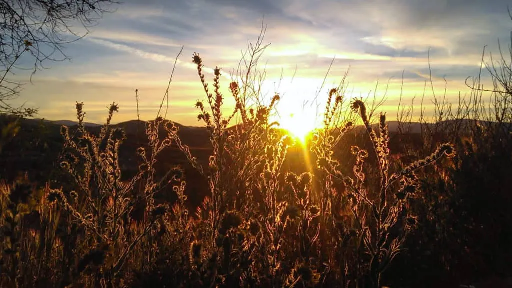Sunrise over a hilly, vegetated trail landscape.