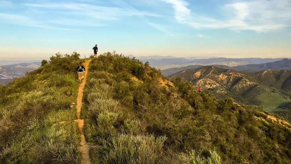 Runners on a narrow trail winding along a grassy ridge with rolling hills in the background.
